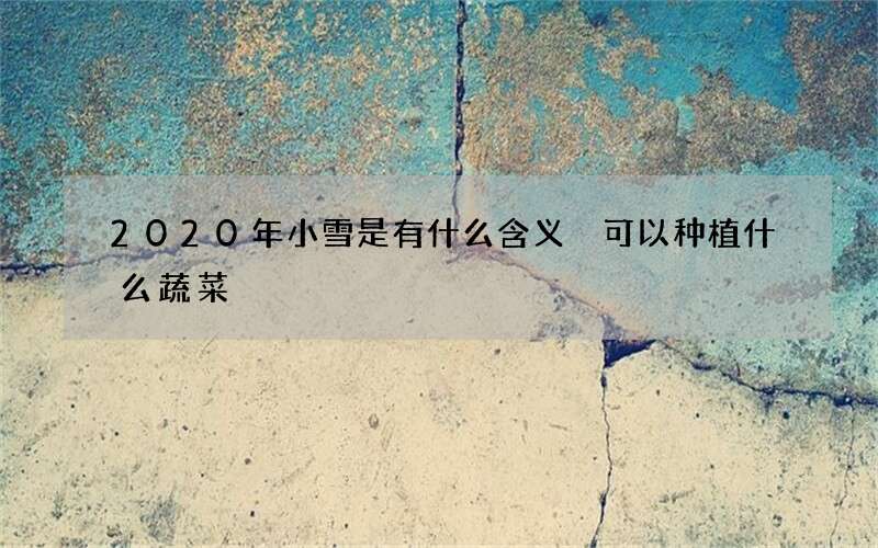 2020年小雪是有什么含义 可以种植什么蔬菜